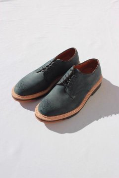 ALDENBLUE BLUE/5EYE PLAINTOE MEDALLION SHOES