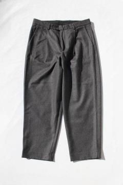 Ceasters/Cigarette Pants