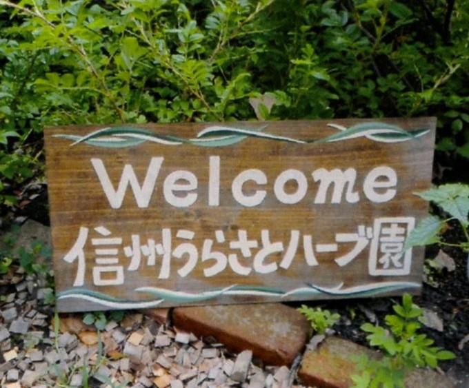 硡