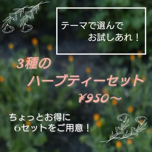 ４月限定価格 おすすめ ブレンドハーブティー お試し３種セット 信州うらさとハーブ園 無農薬 自家製 オリジナルブレンドハーブティー通販