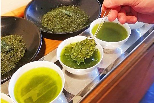 日本茶のテイスティング