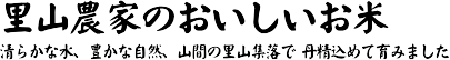ΤȤΤ