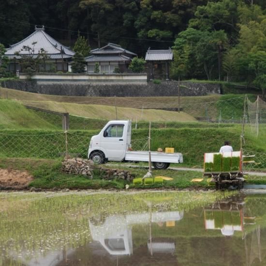 お米 30kg 送料無料 清流ひのひかり芥田川 - 里山農家のおいしいお米 お米 30kg 送料無料 清流ひのひかり芥田川 - 里山農家のおいしいお米