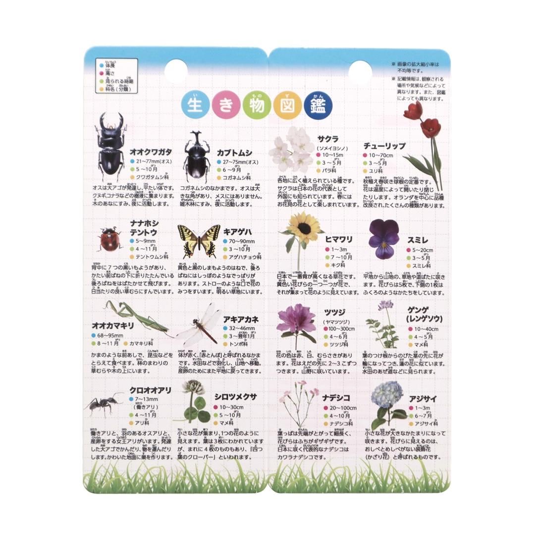 めがめがねむし様 クツワ 学童 むしめがね レンズ径45mm 倍率3.5倍 ブルー MG001BL