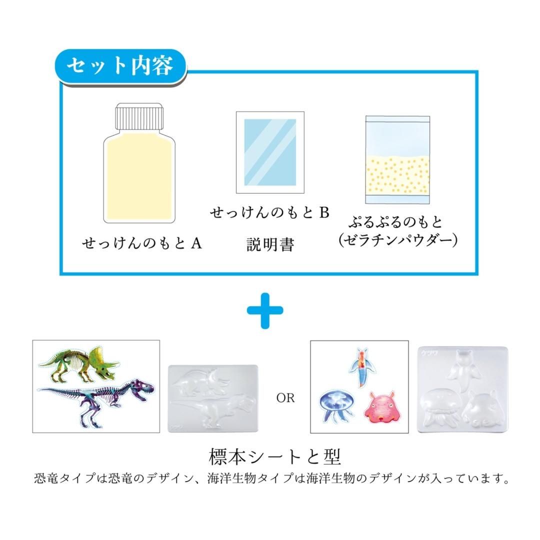 透明標本せっけんをつくろうPT211A/PT211B - kutsuwa-online 透明標本せっけんをつくろうPT211A/PT211B - kutsuwa-online