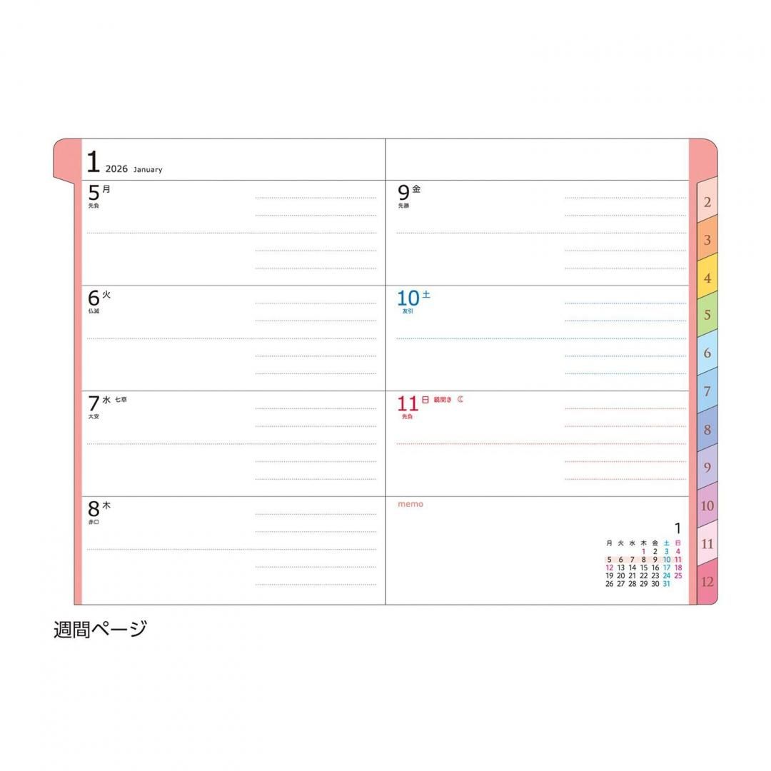 Ma様1剤6本　よろしくお願いします。 はかせやすいおさんぽシューズL│マルカンの製品一覧｜ペット