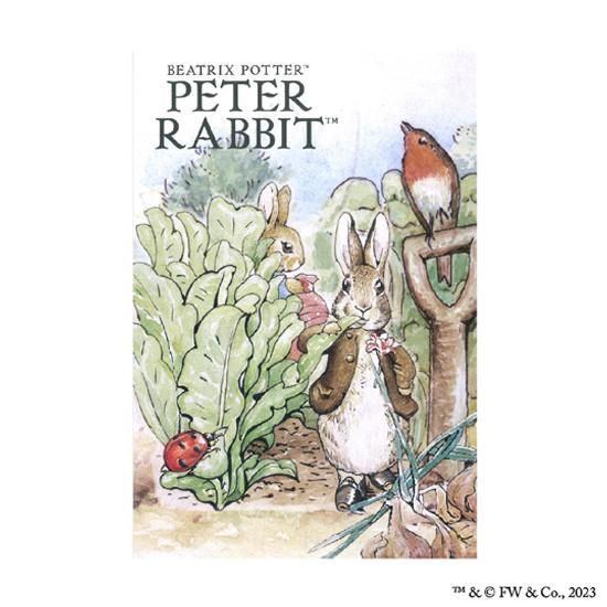 ピーターラビット ポストカード（ベジタブル） - NAME-HOUSE ネームハウス