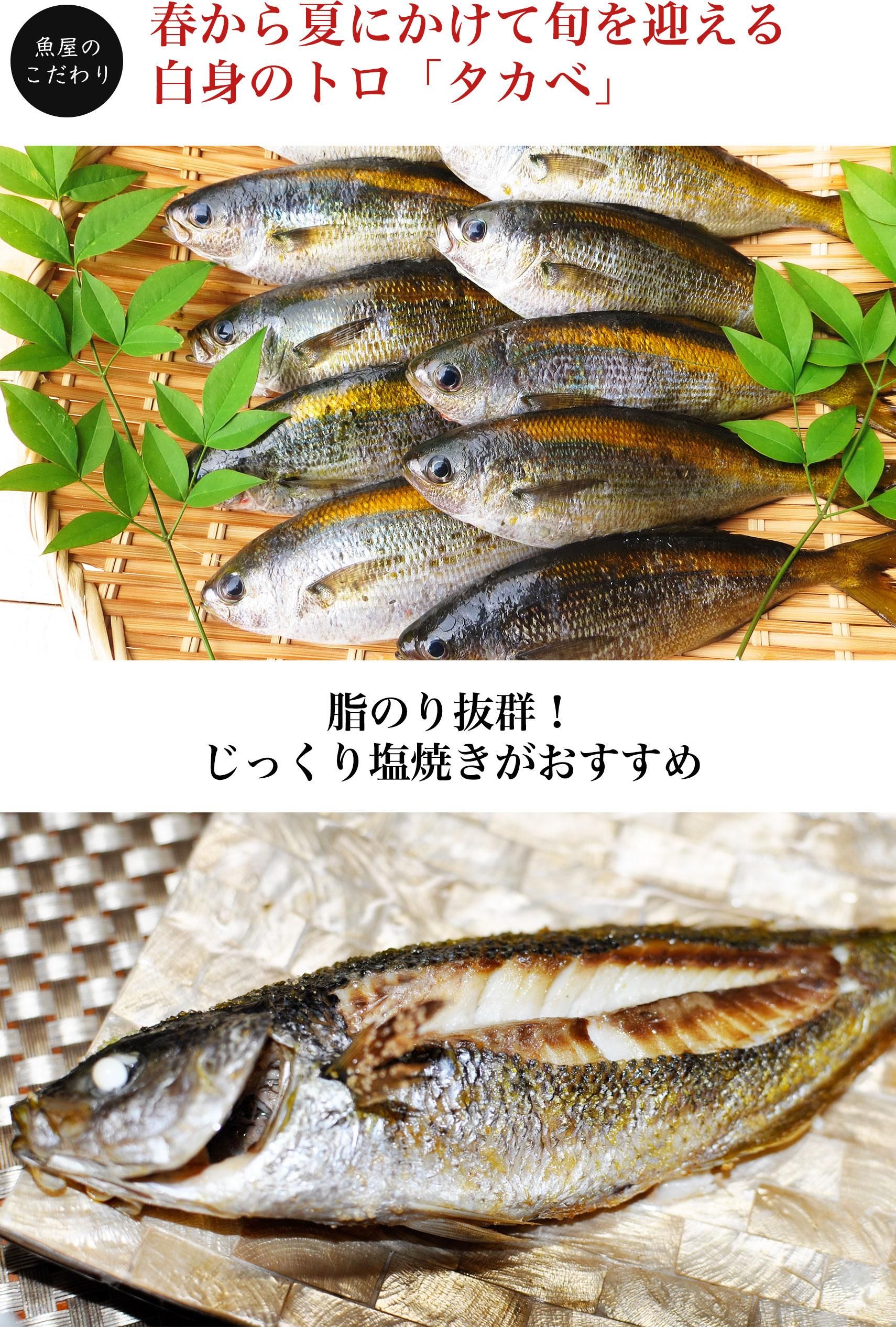 ȤΥȥƦϵ