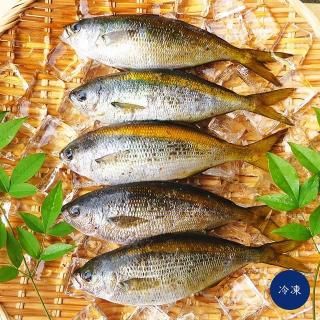 ۥ١Ʀϵ<img class='new_mark_img2' src='https://img.shop-pro.jp/img/new/icons29.gif' style='border:none;display:inline;margin:0px;padding:0px;width:auto;' />