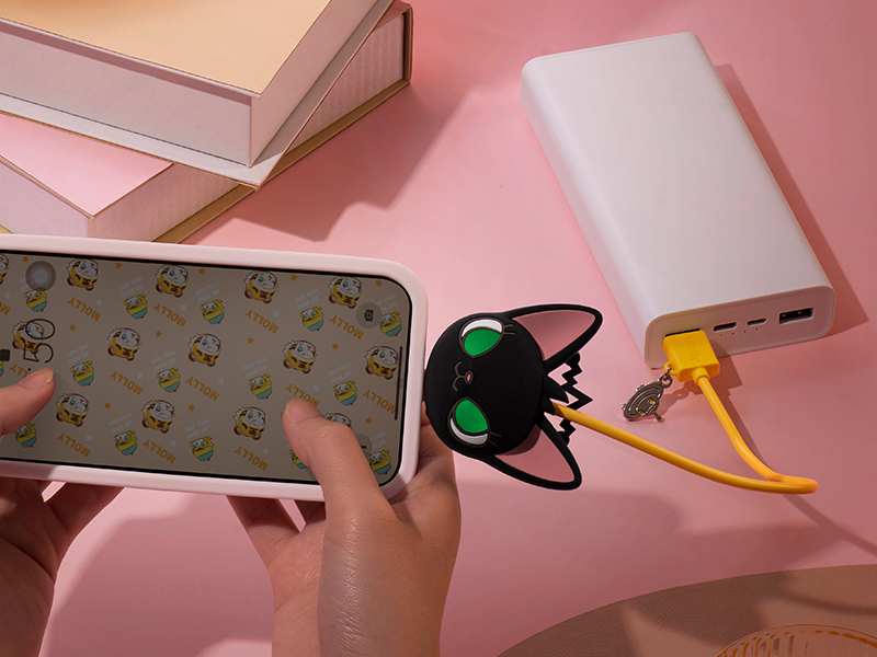 MOLLY のんびりな1日 シリーズ iPhoneケーブル【アソート