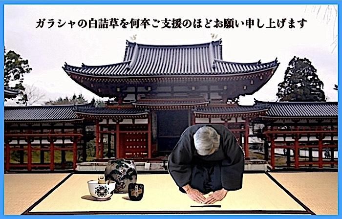 饷ʪ