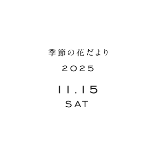 β֤<2025ǯ1115>