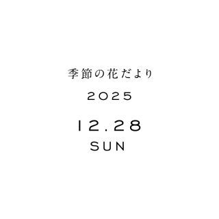 β֤<2025ǯ1228>