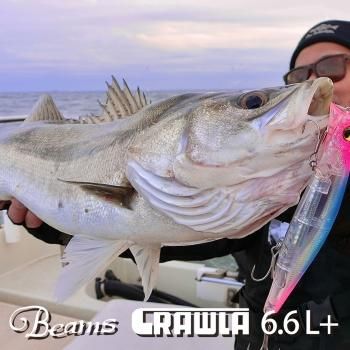 Beams blancsierra5.2UL(ビームスブランシエラ5.2UL)|渓流 Beams blancsierra5.2UL(ビームスブランシエラ5.2UL)|渓流