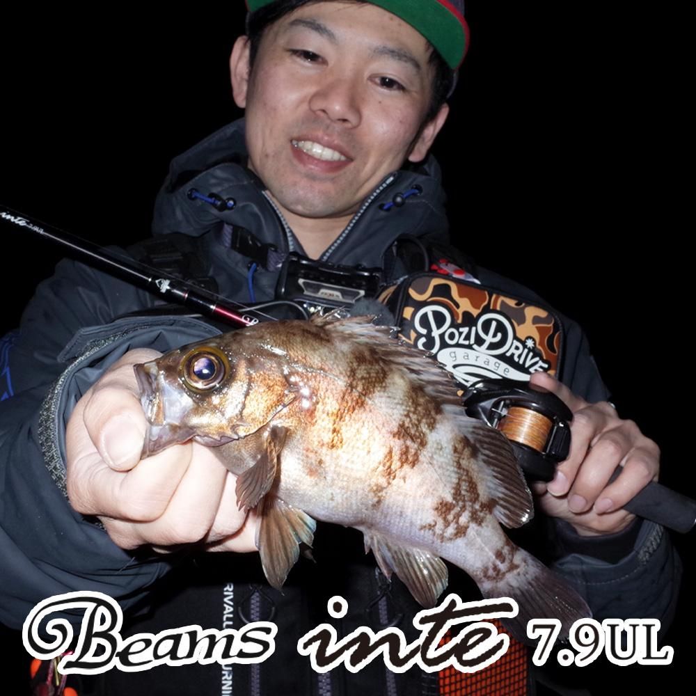 fishman Beams inte 7.9UL（ビームス インテ7.9UL）