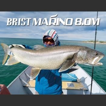 BRIST MARINO8.0M(ブリストマリノ)| シーバス、サーフから本流 BRIST MARINO8.0M(ブリストマリノ)| シーバス、サーフから本流