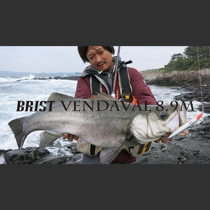 fishman brist vendaval 8.9m ベンダバール形式ベイト