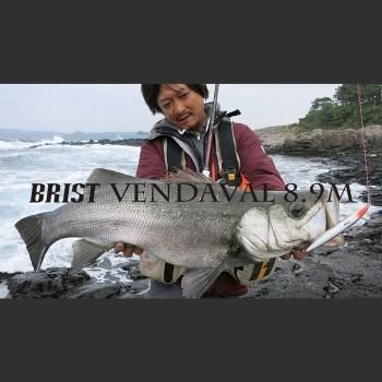 BRIST VAJRADANA11XH(ブリストヴァジュラダーナ)| 途方もない BRIST VAJRADANA11XH(ブリストヴァジュラダーナ)| 途方もない