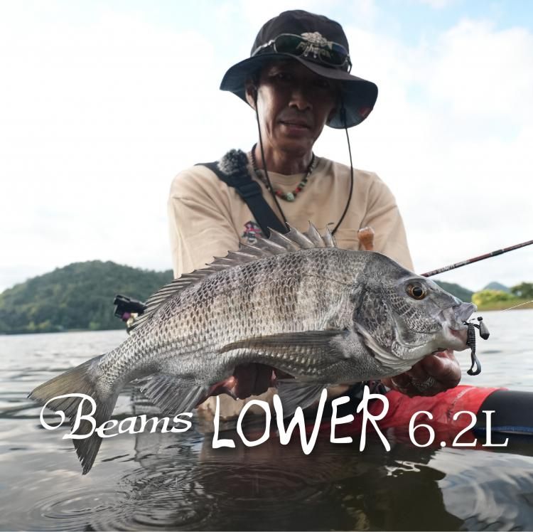 Fishman Beams Lower6.2L(ビームスローワー62l) - novius-it.hu