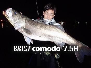 BRIST（ブリスト） - ベイトロッドの通販なら｜Fishman