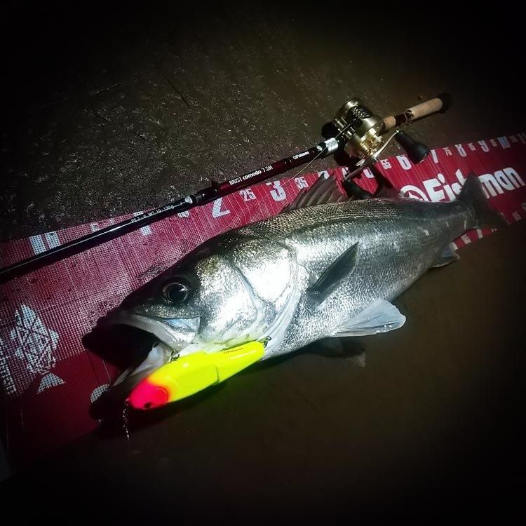 Fishman メッシュメジャー - ベイトロッドの通販なら｜Fishman