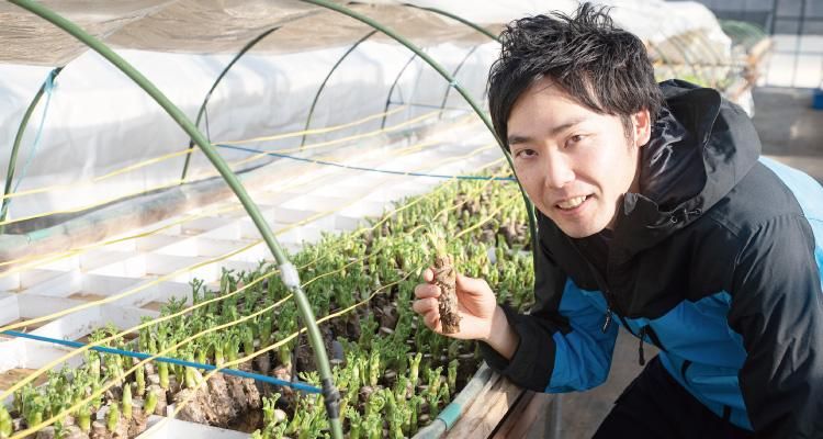 タラの芽のブランド『真だら・もちタラ』にチャレンジする合同会社太良