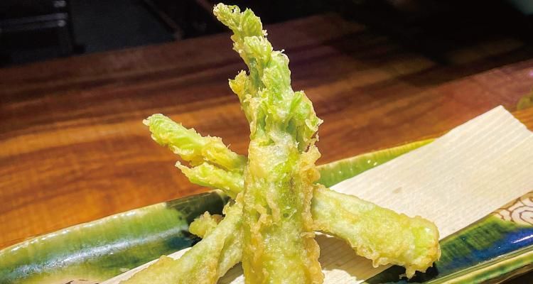 タラの芽のブランド『真だら・もちタラ』にチャレンジする合同会社太良