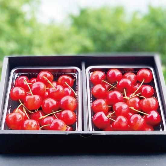 山形産 さくらんぼ 佐藤錦 特秀品』を通販で販売。是非お