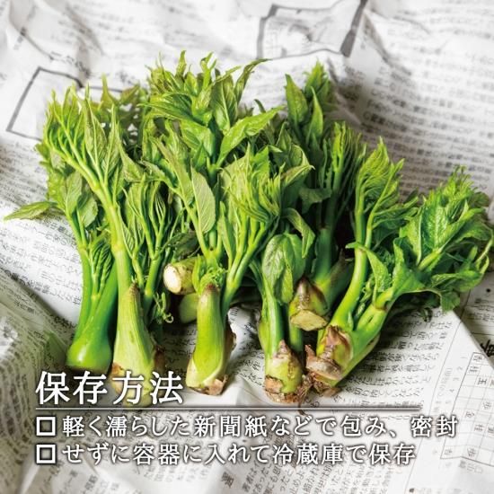 西根の森 もちタラ（タラの芽 早取れ山菜｜宮城県角田市産）』を