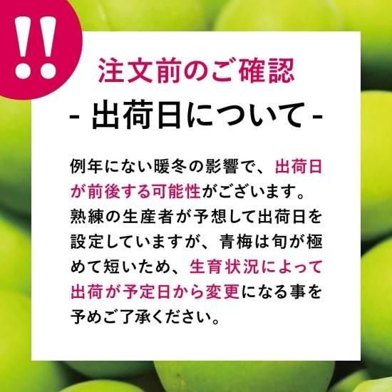 宮城角田産 梅花の里 青梅 *白加賀』を通販で販売。是非お