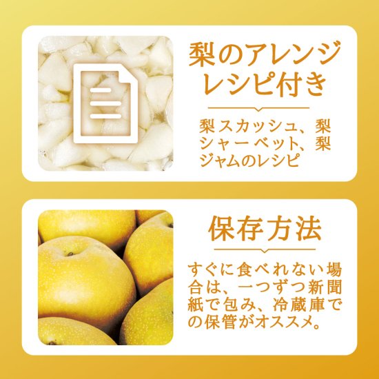 産直商品 訳あり梨 豊水』を通販で販売。是非お取り寄せ下さい。｜果物