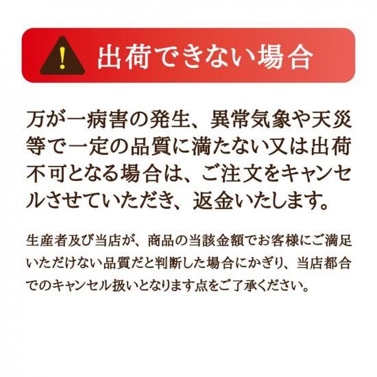 『産直商品 訳あり りんご サンふじ』を通販で販売。是非お取り寄せ下さい。｜果物シリーズ