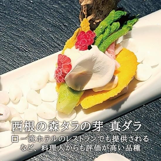 簡単！西根の森 タラの芽 栽培キット 15本入り』を通販で販売
