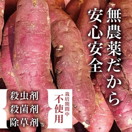 【今日の超目玉】 無農薬栽培 熟成さつまいも *沖縄 紅はるか（産直商品／送料込み 野菜