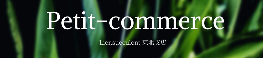 petit-commerce