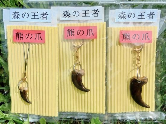 熊の爪 キーホルダー - 秋田内陸線｜笑EMIショップ｜AKITA
