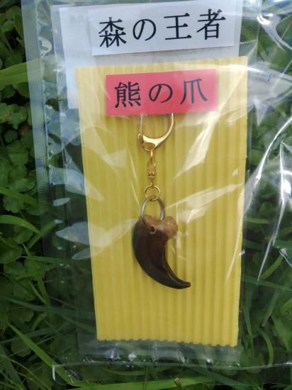 熊の爪 キーホルダー - 秋田内陸線｜笑EMIショップ｜AKITA