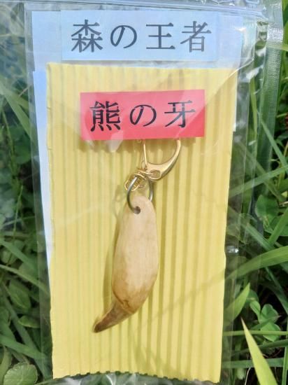 熊の牙 キーホルダー - 秋田内陸線｜笑EMIショップ｜AKITA