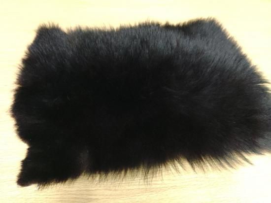 ツキノワグマ - 秋田内陸線｜笑EMIショップ｜AKITA