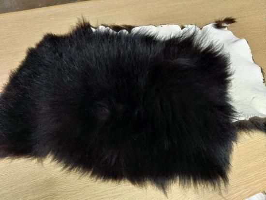 <img class='new_mark_img1' src='https://img.shop-pro.jp/img/new/icons1.gif' style='border:none;display:inline;margin:0px;padding:0px;width:auto;' />Τǳͤ줿