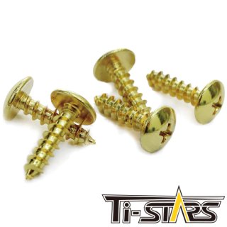 Ti-STARS タッピングボルト M5x19mm ゴールド 10本セット　定型外郵便送料無料