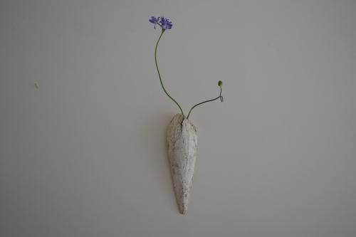 flower vase /ݲ/ ⶶ