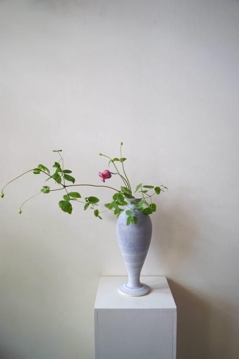 3rd ceramics / for clematis G