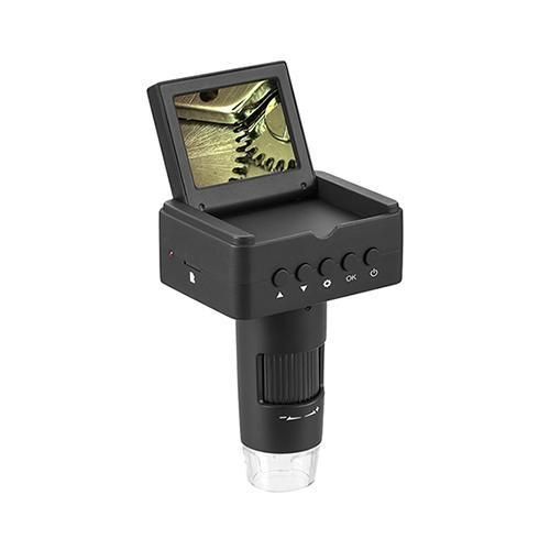 ����ͥ������