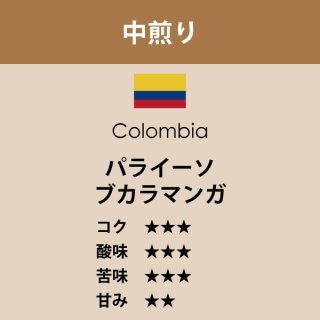 コロンビア　パライーソ ブカラマンガ〈中煎り〉（200g）