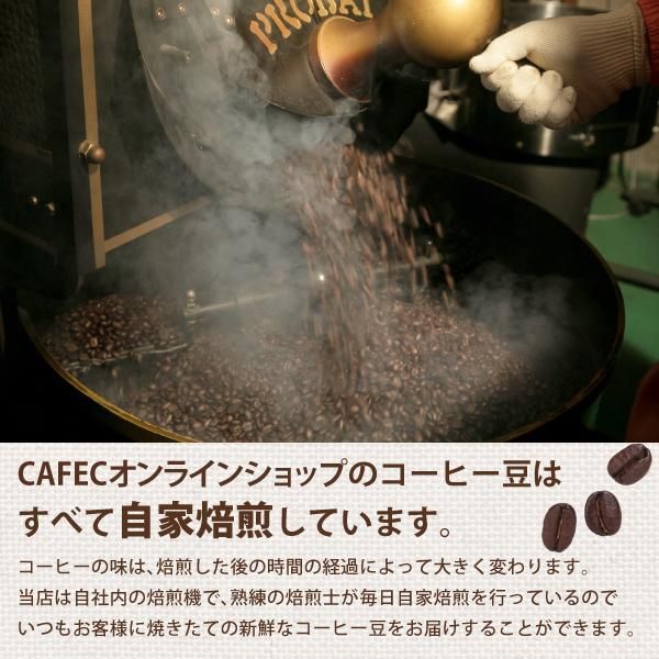 数量限定!お買い得!「コーヒーサーバー買ったら水出しコーヒー 数量限定!お買い得!「コーヒーサーバー買ったら水出しコーヒー