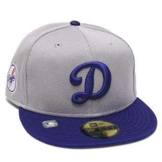NEWERA ˥塼 LOSANGELES DODGERS 2025 MLB BATTING PRACTICE 59FIFTY CAP/GREYxDARK ROYAL