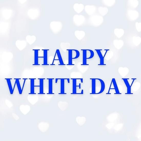 ۥ磻ȥǡꡪξƤɡʥġ㥤åͽ󳫻ϡ