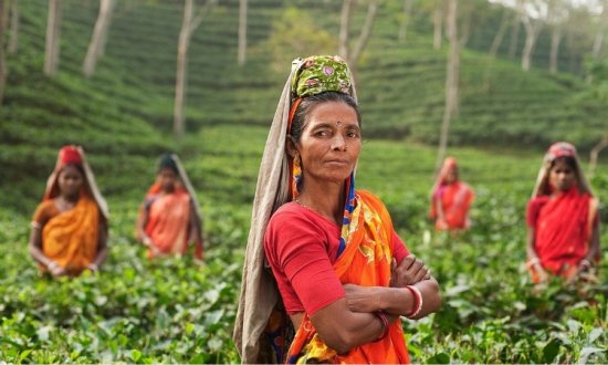 インド紅茶農園への直接支援