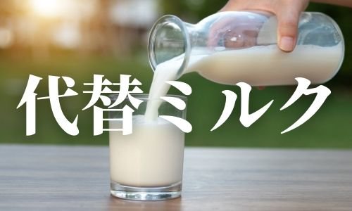 【保存版】アーモンドミルク など 代替ミルク 作る美味しいチャイ【ベスト5】